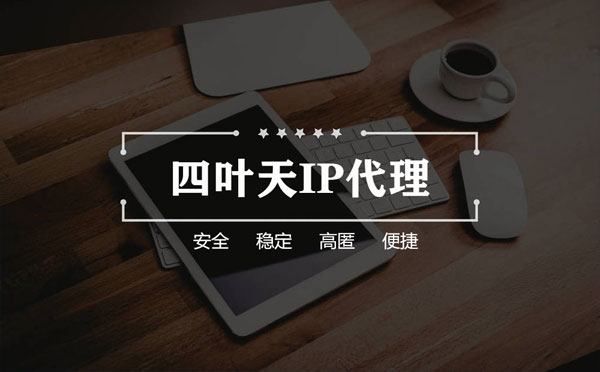 【慈溪代理IP】如何快速搭建代理IP？怎么检查代理的效果？